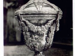 Mula Antigua serie-2